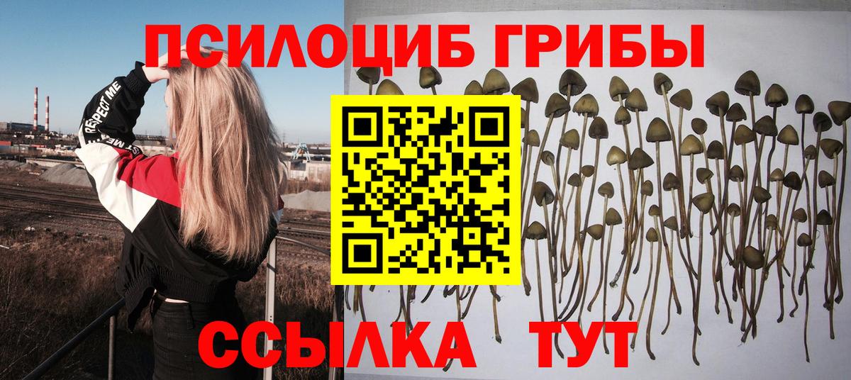 Галлюциногенные грибы Psilocybine cubensis  закладки  Кулебаки  Вход с VPN 
