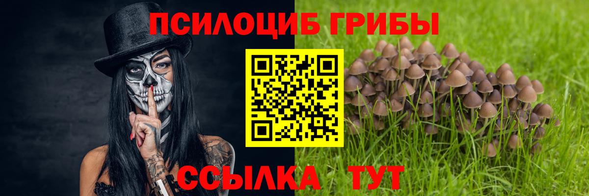 Галлюциногенные грибы ЛСД Кулебаки